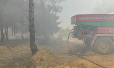 Bilecik’te buğday tarlasında çıkan yangın ormanlık alana sıçradı