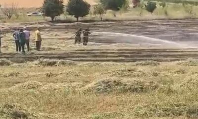 Bilecik’te anız yangını söndürüldü