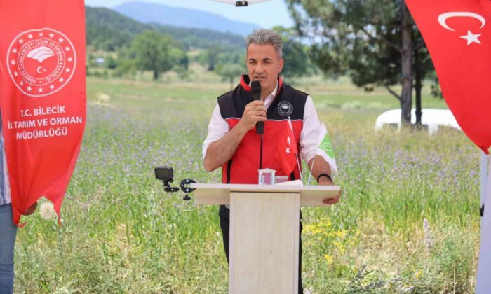 Bozüyük’te ‘Pelemir Bitkisi’ tanıtım günü düzenlendi