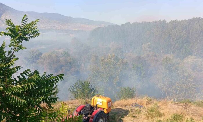 Eskişehir’de ağaçlık alanda yangın: Alevler okul lojmanına sıçradı