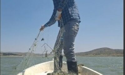 Kaçak avcıların ağı denetimde ortaya çıktı