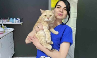 Bayramda evcil hayvan ile seyahat edecek yolcuların dikkat etmesi gerekenler