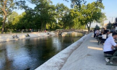 Adranos Çayı adeta yeniden canlandı