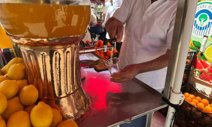 Sıcaklarla birlikte satışının da artması bekleniyor