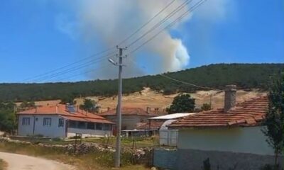 Seyitgazi’de orman yangını