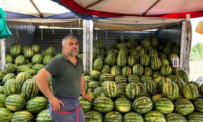 Diğer meyvelerden 20 kat ucuz olmasına rağmen karpuza umulan talep yok