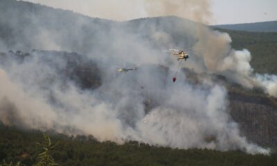 Seyitgazi’de çıkan yangın büyümeye devam ediyor