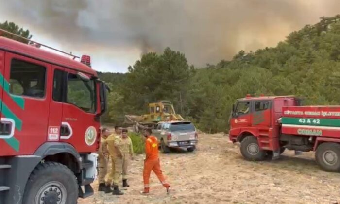 Orman Bölge Müdürü Alevlerin arasında kaldı