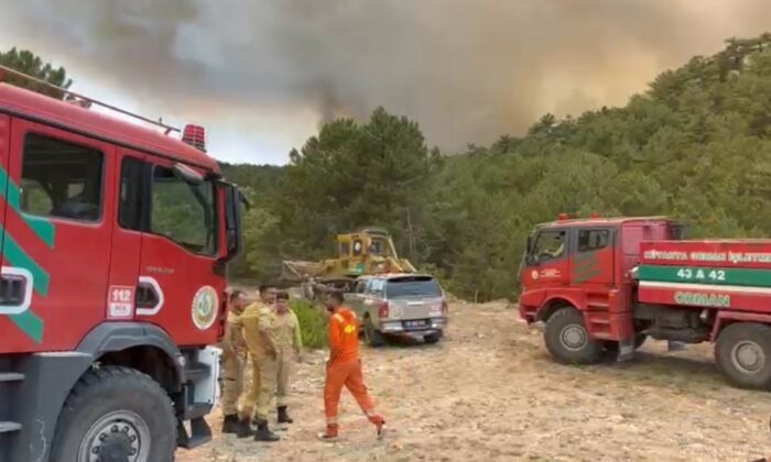 Orman Bölge Müdürü yangının ortasında kaldı