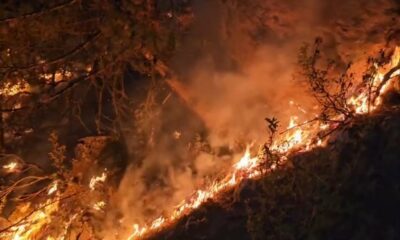 Eskişehir’de orman yangınına karadan müdahale sürüyor