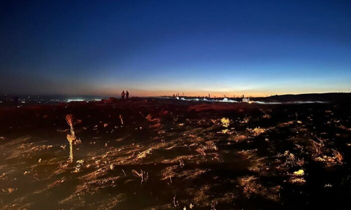 Eskişehir’de çıkan yangın ormana sıçramadan söndürüldü