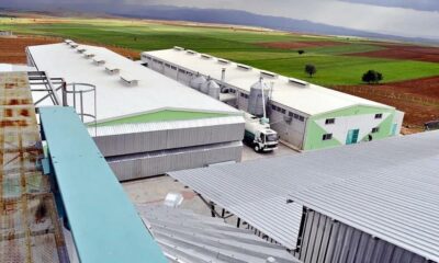 Yumurta firmasına, FETÖ soruşturması kapsamında kayyum atandı(Video Haber)