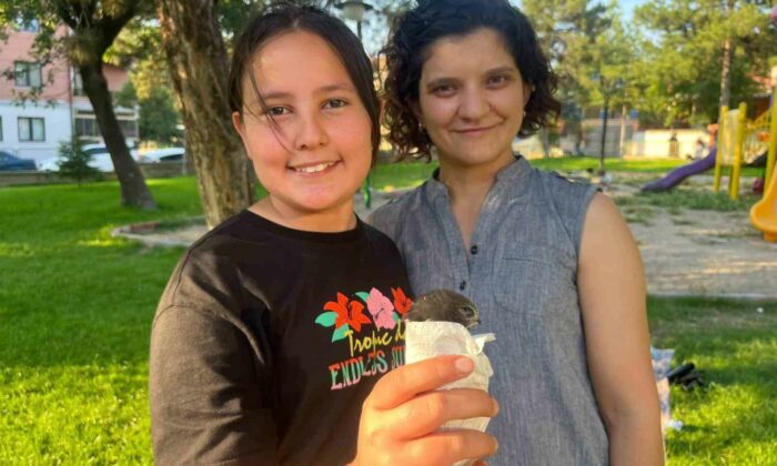 Yaralı Ebabil kuşu Tavşanlı’da şefkatli ellerde