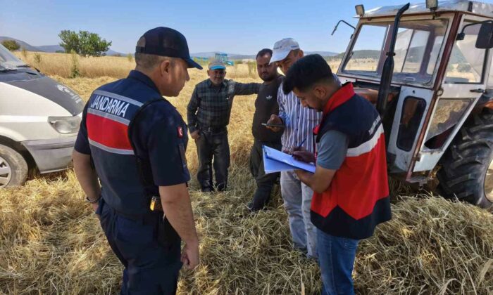 Dumlupınar’da biçerdöver hasat çalışmaları denetlendi