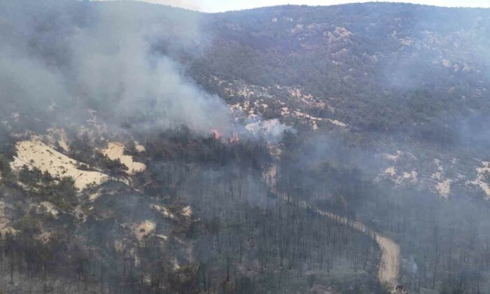 Seyitgazi’den Sarıcaova’ya sıçrayan yangın kısmen kontrol altında