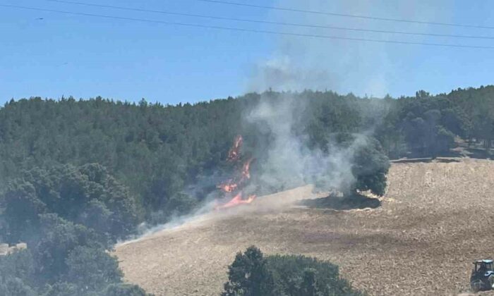 Gediz’de ekiplerin orman yangınıyla mücadelesi sürüyor