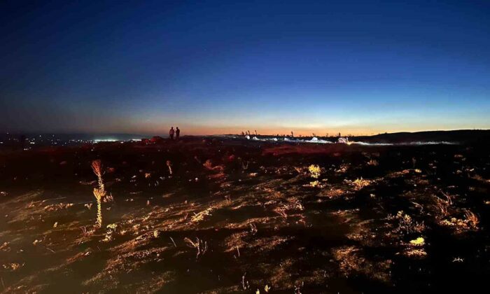 Eskişehir’de çıkan yangın ormana sıçramadan söndürüldü