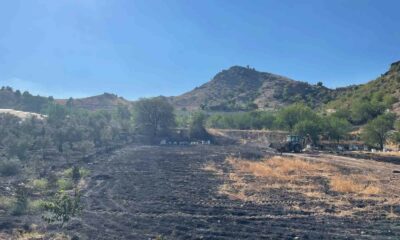 Sarıcakaya’daki ot yangını ormana sıçramadan söndürüldü