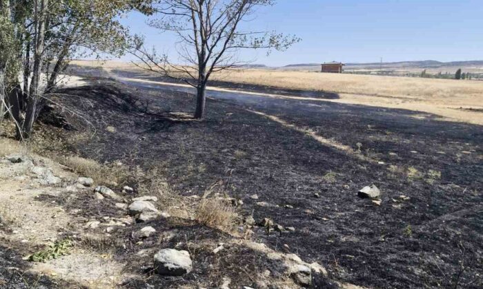 Arazide çıkan yangına çiftçi ve itfaiye ekipleri müdahale etti