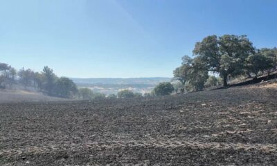 Kütahya’daki orman yangını kontrol altına alındı
