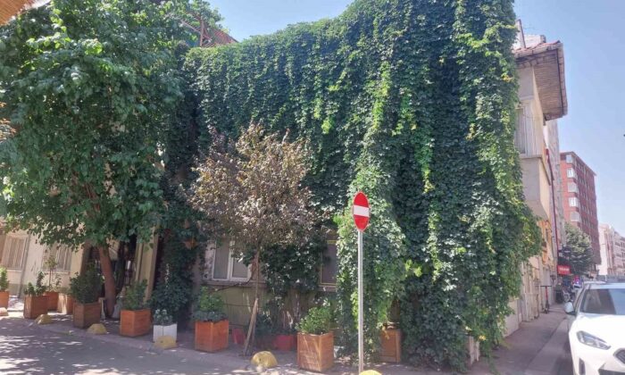 Eskişehir’de doğa, evle bütünleşti