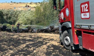 Ekin yangınına itfaiye ekipleri müdahale etti