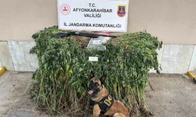 Jandarmadan uyuşturucu operasyonu: 2 gözaltı