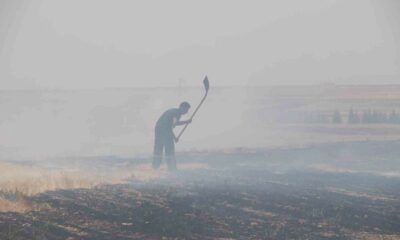 Trafodan çıkan yangında 50 dönüm tarım arazisi kül oldu