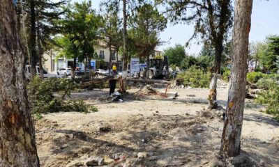 Gürhan Albayrak’tan CHP’li belediyelere sert tepki: “Güzelim ağaçlardan ne istediniz?”