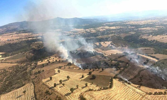 Kütahya’daki yangında 60 hektar ormanlık ve 50 hektarlık ziraat alanı zarar gördü