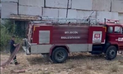 Bilecik’te otluk alanda başlayan yangın ormana sıçramadan söndürüldü