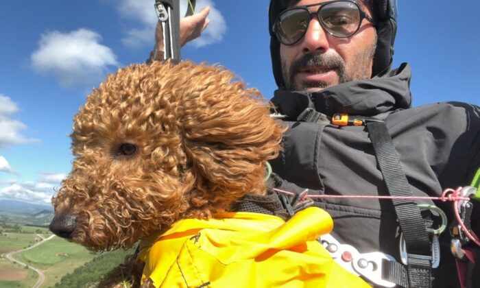 Toby isimli köpek paraşütle atlayıp 330 metrede uçuş deneyimi yaşadı