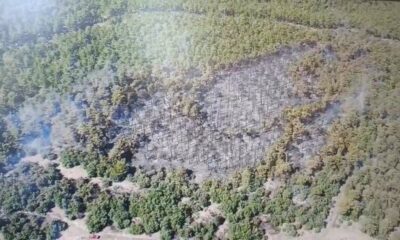 Seyitgazi’de yangının oluşturduğu tahribat havadan görüntülendi