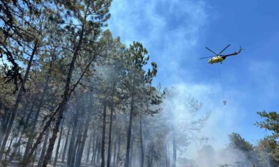 Seyitgazi’deki orman yangını kontrol altına alındı, soğutma çalışmaları sürüyor