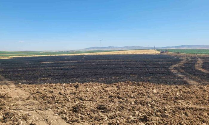 40 dönümlük buğday tarlasında korkutan yangın