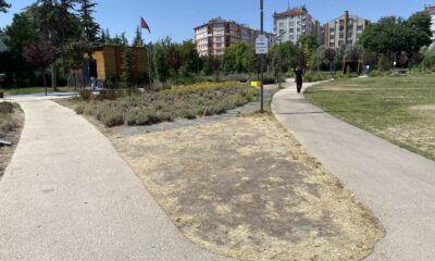 Eskişehir Recep Tayyip Erdoğan Millet Bahçesi bakımsız kaldı