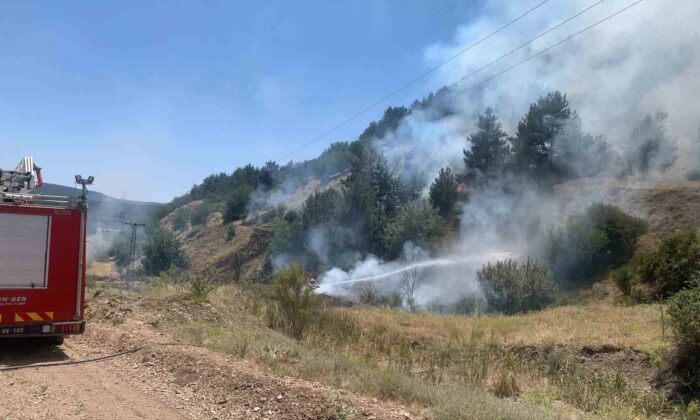 Tavşanlı’da orman yangını erken müdahaleyle söndürüldü