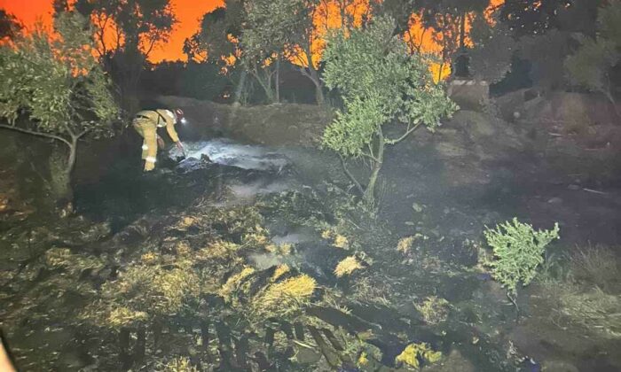AKUT Afyonkarahisar ekibi Temmuz yangınlarında görev yaptı