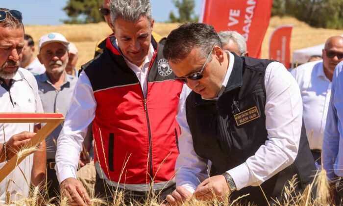 Bilecik’te bu yıl 75 bin 104 ton buğday hasadı yapılacak