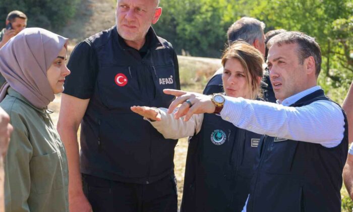 Yangından etkilenen vatandaşlar için konteyner alanları oluşturuluyor