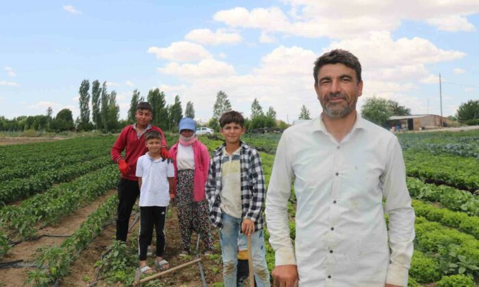 40 dereceyi bulan sıcaklarda mevsimlik işçilerin mücadelesi