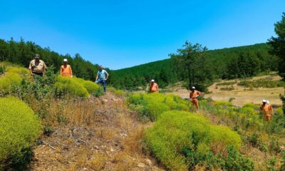 Kütahya’da 34 hükümlü ormanlara katkı sunacak