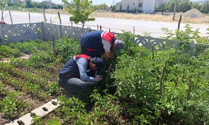 Küçük ölçekli üreticilere destek veriyor