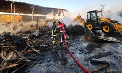 Simav’da palet fabrikasında çıkan yangın söndürüldü