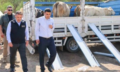 Yangın sonrası üreticilere büyükbaş ve küçükbaş hayvan desteği sağlandı