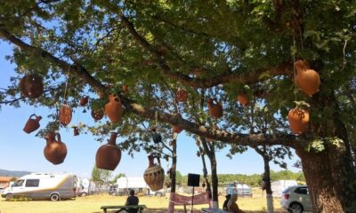 Ağaçlar, çaput yerine çömlekle süslendi