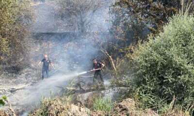 Taşınburnu mevkiindeki orman yangında soğutma çalışmaları sona erdi