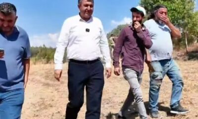 Gediz’de hasat coşkusu başladı, Başkan Akel çiftçilerin yanında