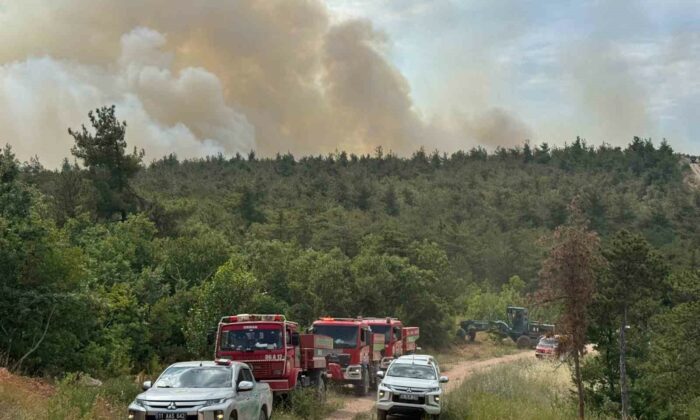 Bilecik’te orman yangını başladı