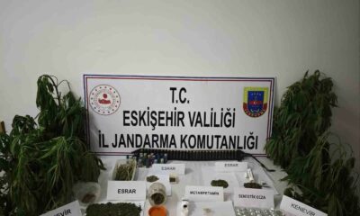 Kenevir bitkisi ekimi yapılan ikamete operasyon düzenledi